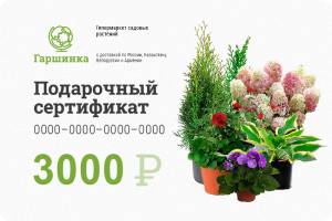 Подарочный сертификат интернет-магазина «Гаршинка.ру» номиналом 3000 руб.